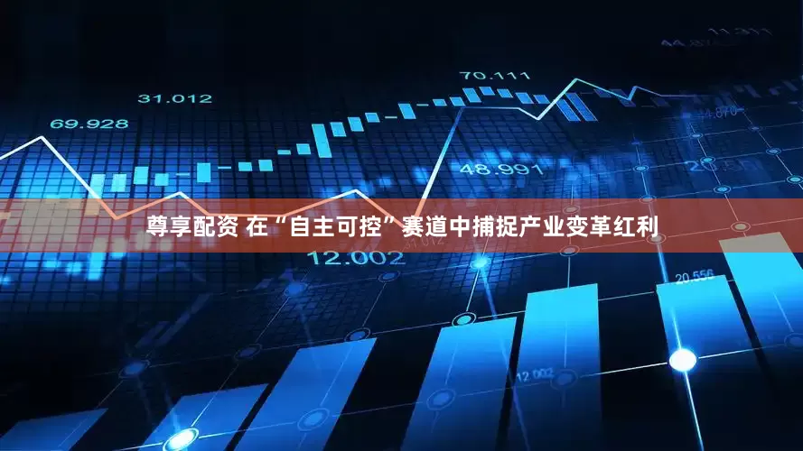 尊享配资 在“自主可控”赛道中捕捉产业变革红利