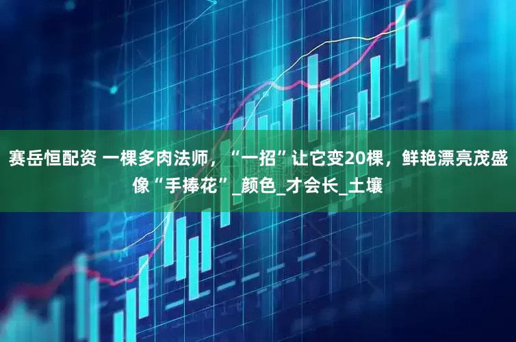 赛岳恒配资 一棵多肉法师，“一招”让它变20棵，鲜艳漂亮茂盛像“手捧花”_颜色_才会长_土壤