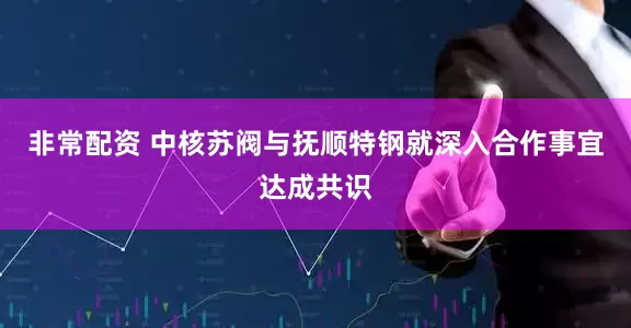 非常配资 中核苏阀与抚顺特钢就深入合作事宜达成共识