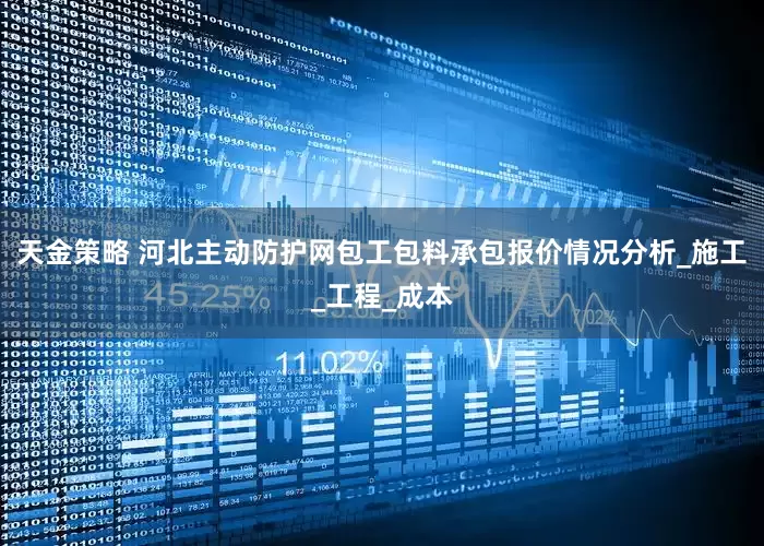 天金策略 河北主动防护网包工包料承包报价情况分析_施工_工程_成本
