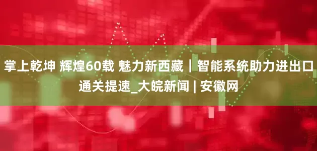 掌上乾坤 辉煌60载 魅力新西藏｜智能系统助力进出口通关提速_大皖新闻 | 安徽网