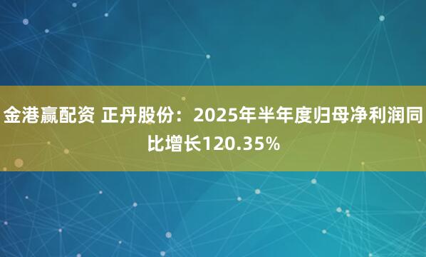 金港赢配资 正丹股份：2025年半年度归母净利润同比增长120.35%